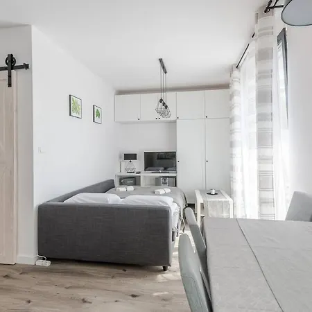 - Kollataja Apartament